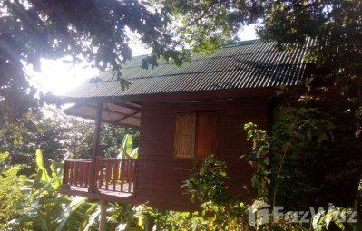 1 Bedroom House For Rent At The Ocean Phangan Homestay For 10 000 Mo U83369